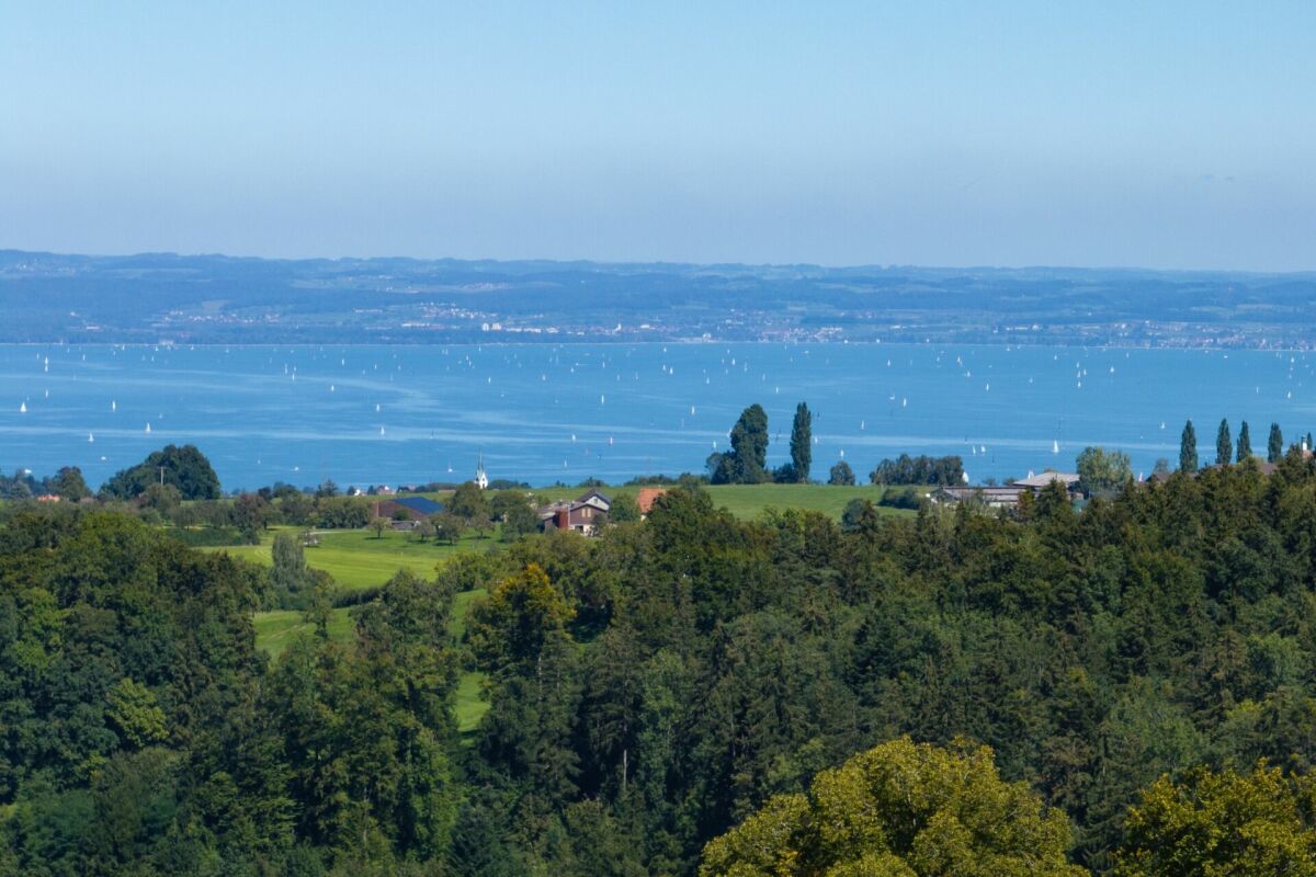 Aussicht auf den Bodensee